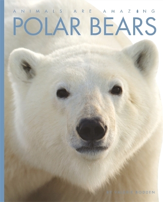 Book cover for Animals Are Amazing: Polar Bears