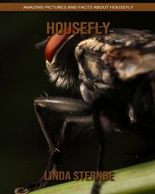 Book cover for Housefly