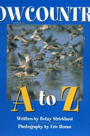 Cover of Lowcountry A to Z