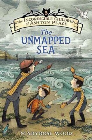 Cover of The Unmapped Sea