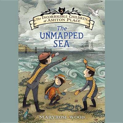 Book cover for The Unmapped Sea