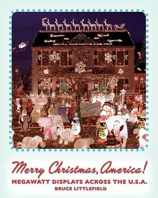 Book cover for Merry Christmas America