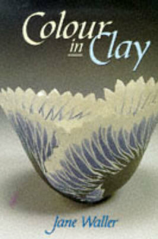 Cover of Colour in Clay