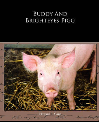 Book cover for Buddy And Brighteyes Pigg