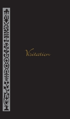 Book cover for Visitation