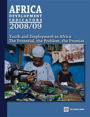 Book cover for Africa Development Indicators, 2008/09