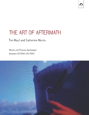 Book cover for The Art of Aftermath