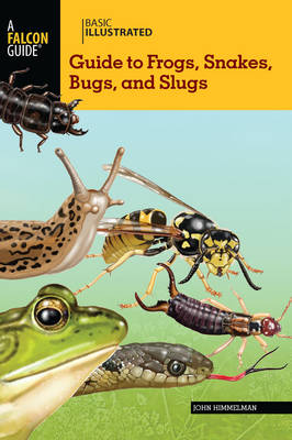 Book cover for Basic Illustrated Guide to Frogs, Snakes, Bugs, and Slugs