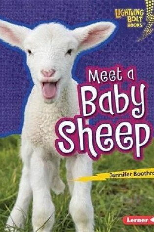 Cover of Meet a Baby Sheep