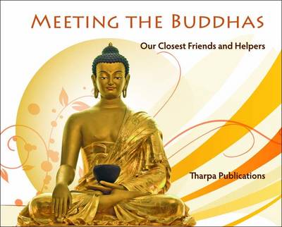 Book cover for Meeting the Buddhas