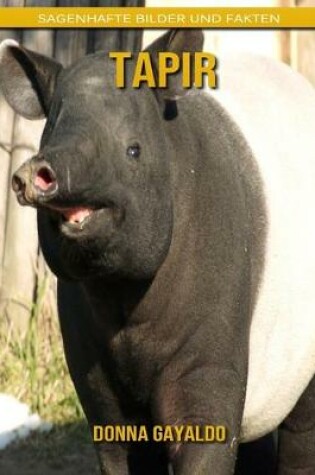 Cover of Tapir