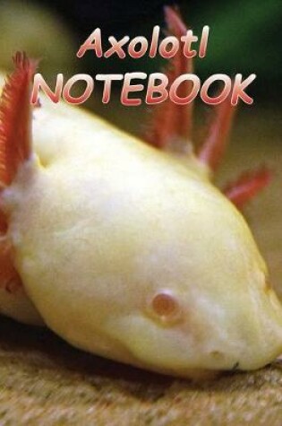 Cover of Axolotl NOTEBOOK