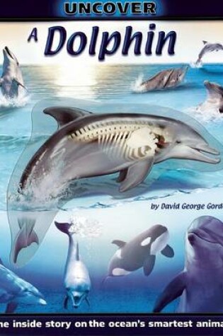 Cover of Uncover a Dolphin