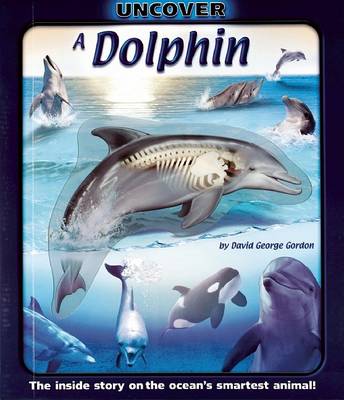 Cover of Uncover a Dolphin