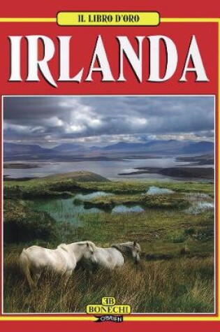 Cover of Il Libro d'Oro Irlanda