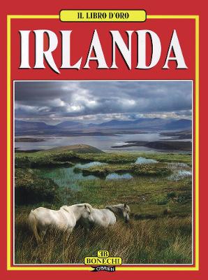 Book cover for Il Libro d'Oro Irlanda