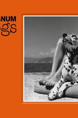 Cover of Magnum Dogs