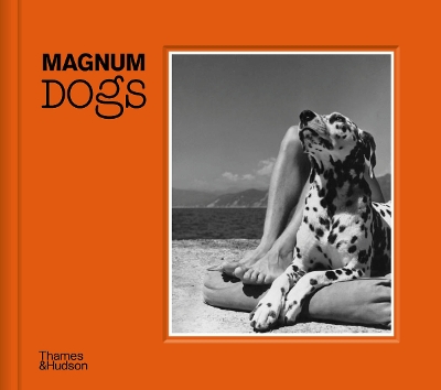 Book cover for Magnum Dogs