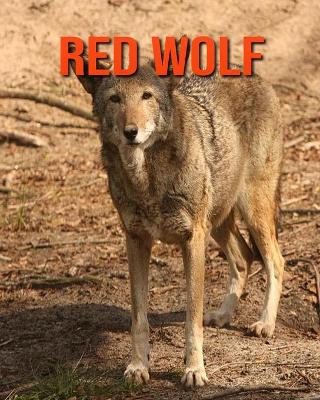 Book cover for Red Wolf