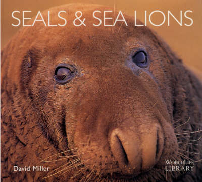 Cover of Seals and Sea Lions