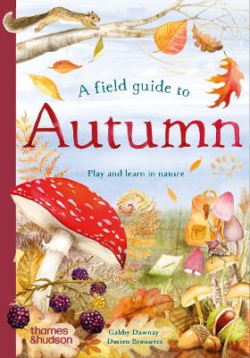 Book cover for A Field Guide to Autumn