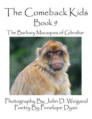 Book cover for The Comeback Kids -- Book 9 -- The Barbary Macaques of Gibraltar