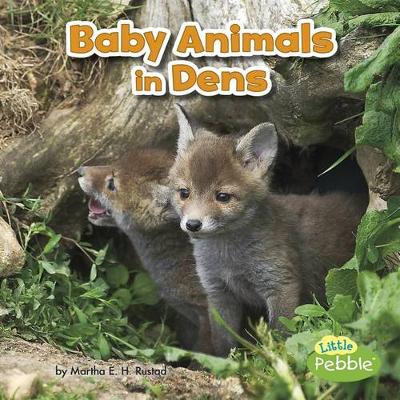 Book cover for Baby Animals in Dens