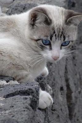 Book cover for Blue-Eyed Cat on a Wall Journal