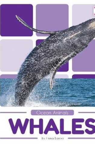 Cover of Ocean Animals: Whales