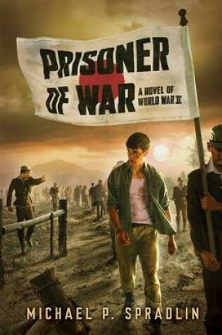 Cover of Prisoner of War