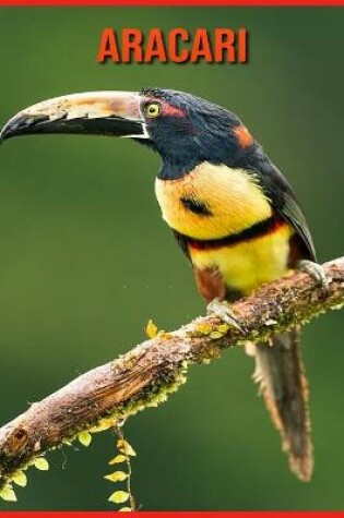 Cover of Aracari