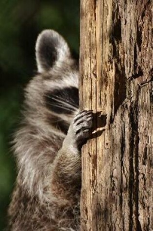 Cover of Raccoon Playing Peek a Boo Journal