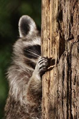 Book cover for Raccoon Playing Peek a Boo Journal