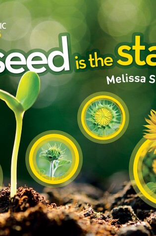 Cover of Seed is the Start, A