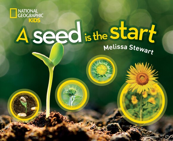 Cover of Seed is the Start, A