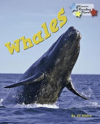 Book cover for Whales