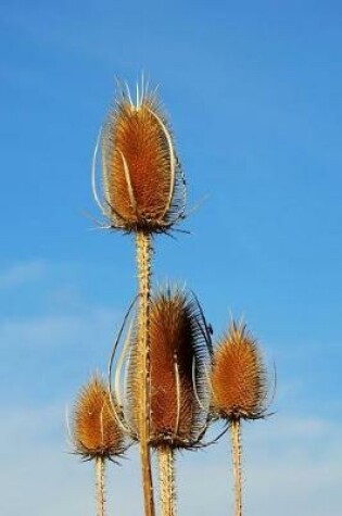 Cover of Thistle Plants Growing Tall Journal