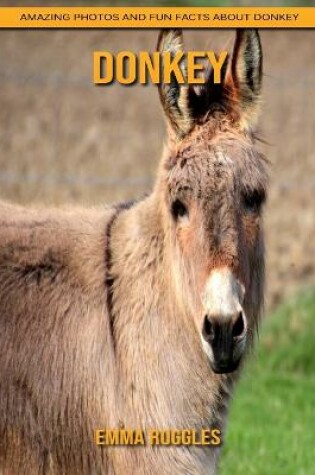 Cover of Donkey