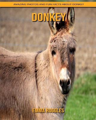 Book cover for Donkey