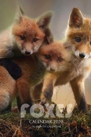 Cover of Foxes Calendar 2020