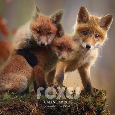 Book cover for Foxes Calendar 2020