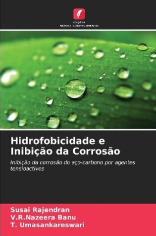 Cover of Hidrofobicidade e Inibição da Corrosão