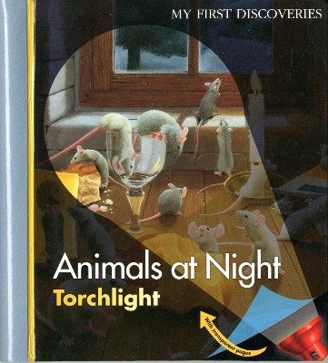 Book cover for Animals at Night