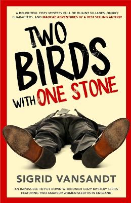 Book cover for Two Birds with One Stone