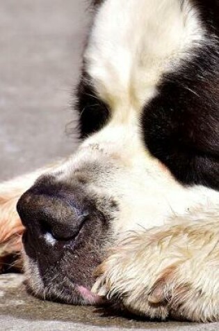 Cover of A Saint St Bernard Taking a Nap Journal