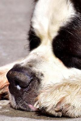 Book cover for A Saint St Bernard Taking a Nap Journal