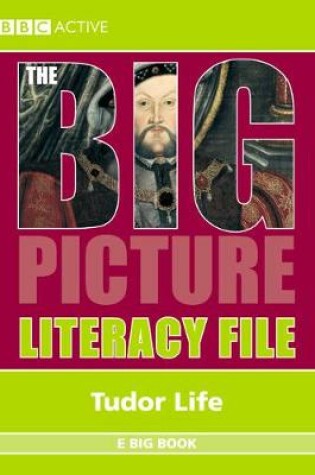 Cover of The Big Picture: Literacy File - Tudors E Big Book EBBk MUL