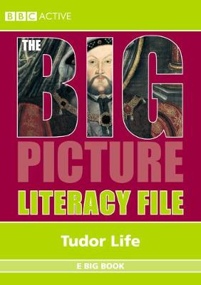 Cover of The Big Picture: Literacy File - Tudors E Big Book EBBk MUL