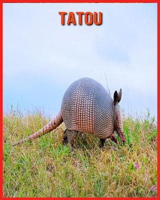 Book cover for Tatou