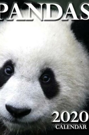 Cover of Pandas 2020 Calendar